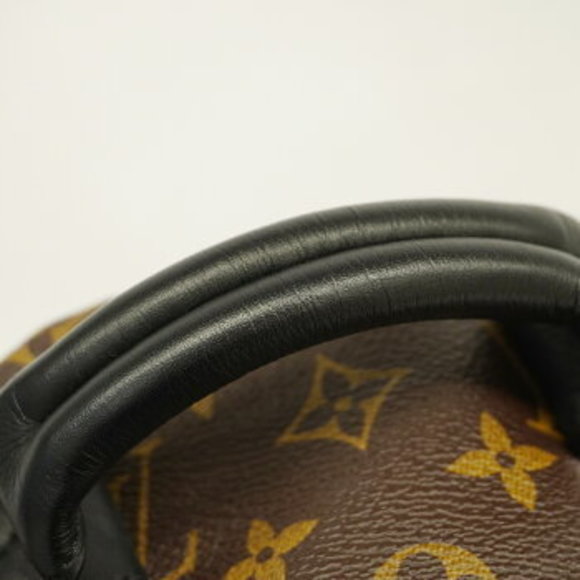 Louis Vuitton Monogram Reverse Palm Springs Backpack - Picture 6 of 10